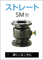 ストレート SM型